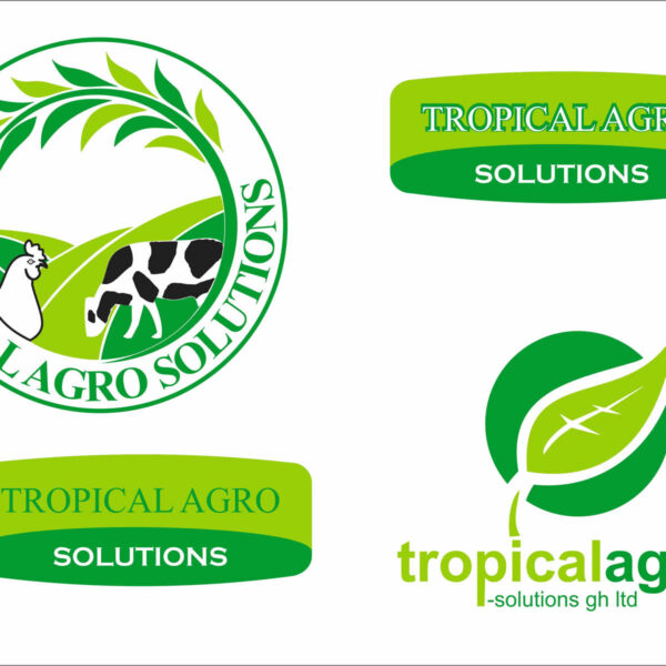 key-solution-profolio-works-graphic-design